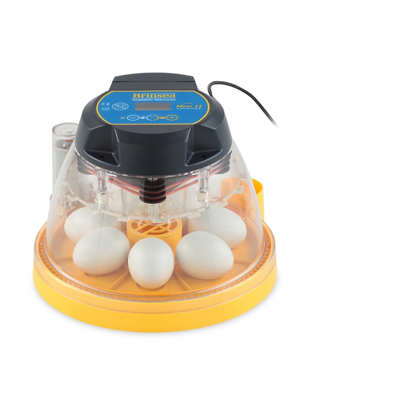 brinsea maxi ii advance automatic egg incubator usac26c